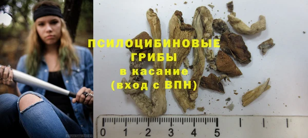 ГАЛЛЮЦИНОГЕННЫЕ ГРИБЫ Нефтекумск