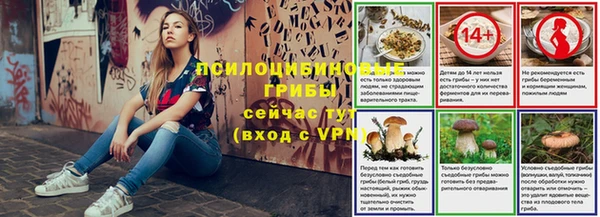 ГАЛЛЮЦИНОГЕННЫЕ ГРИБЫ Нефтегорск