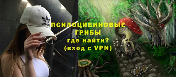 ГАЛЛЮЦИНОГЕННЫЕ ГРИБЫ Нефтегорск