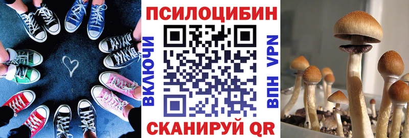 omg как зайти  Бабушкин  Псилоцибиновые грибы Psilocybe 